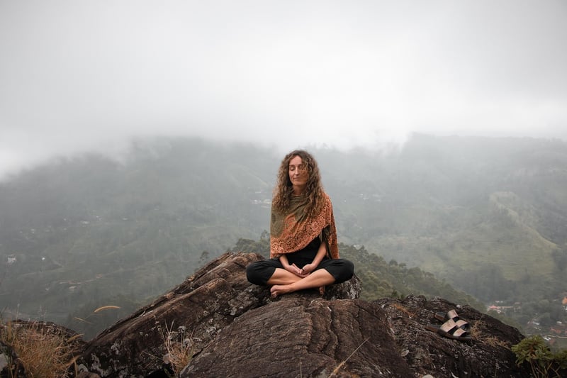 Mindfulness Workshop